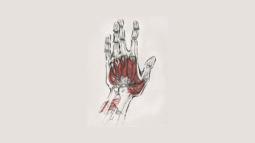 a drawing of a hand.jpg