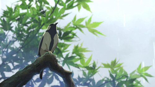 a bird on a branch.jpg