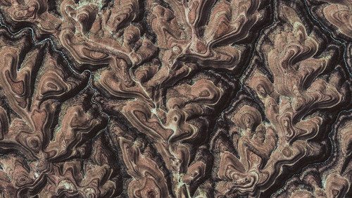 a close up of a rock.jpg