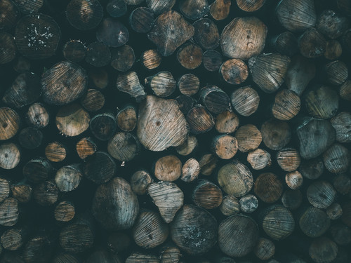 a pile of cut logs.jpg