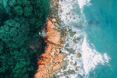 a rocky beach with trees and water.jpg