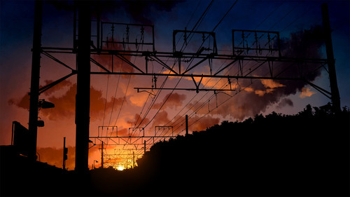 power lines and trees at sunset.jpg