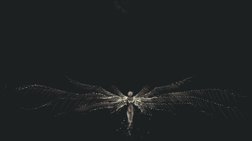 a close up of a person with wings.jpg