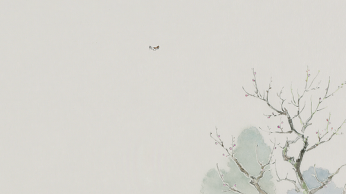 a bird flying in the sky.png