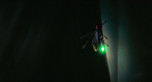 a bug with a green light on the wall.png