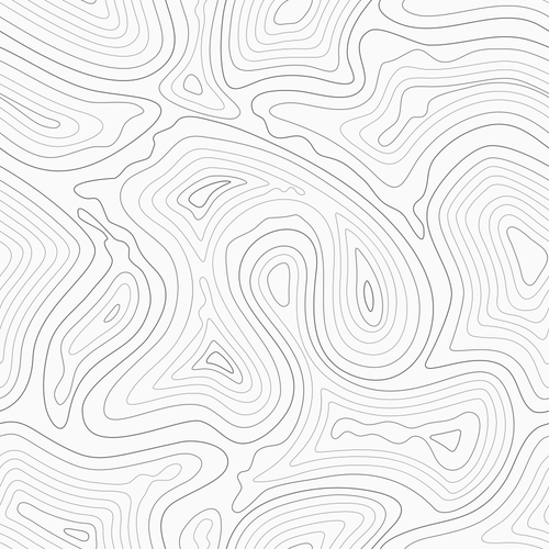 a black and white topographic map.png
