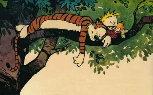 a cartoon of a boy sleeping on a tree branch.jpg