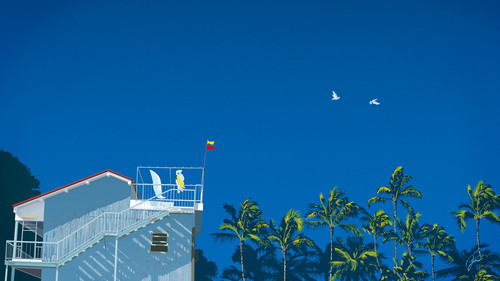 a white building with a flag on top and palm trees.jpg