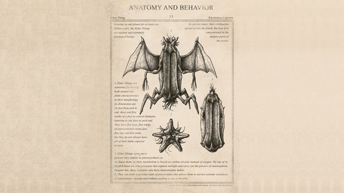 a drawing of a bug and starfish.jpg