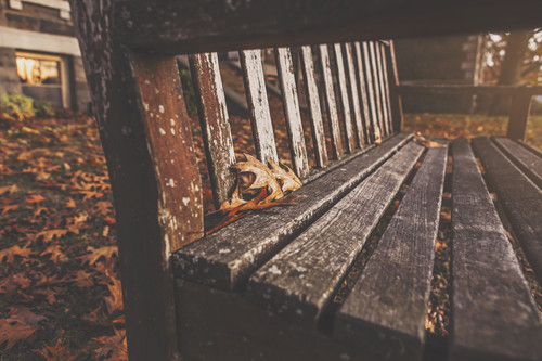 a close up of a bench.jpg