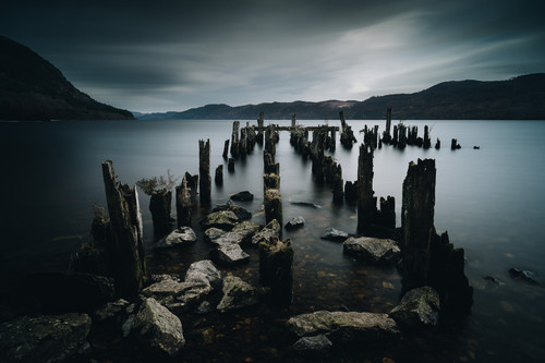 a group of wooden posts in water.jpg