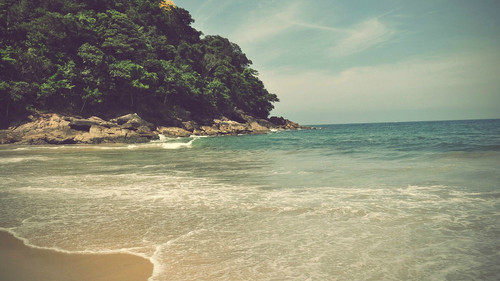 a beach with trees on the side.jpg