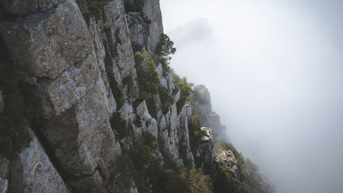 a rocky cliff with trees and fog.jpg