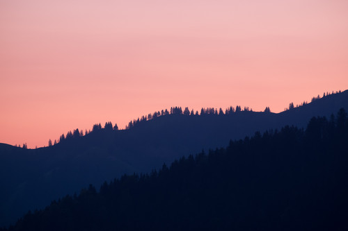 a silhouette of trees on a hill.jpg