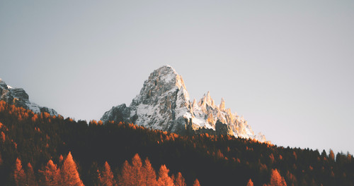a mountain with snow on top and trees in the background.jpg
