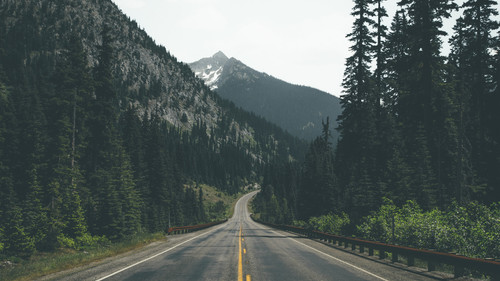 a road with trees and mountains in the background.jpg