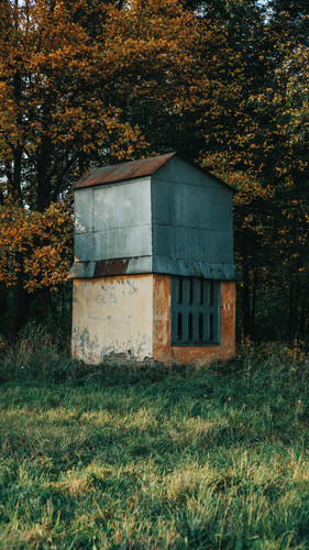 a building in the woods.jpg