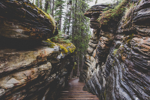 a stairs leading to a rocky canyon with Flume Gorge in the background.jpg