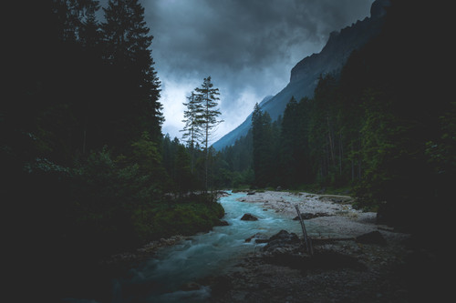 a river running through a forest 01.jpg