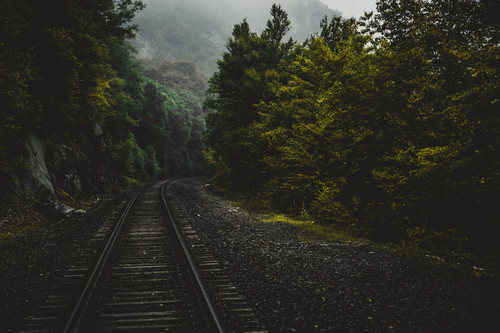 train tracks in a forest.jpg