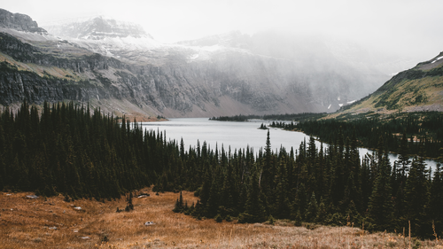 a lake surrounded by trees.png