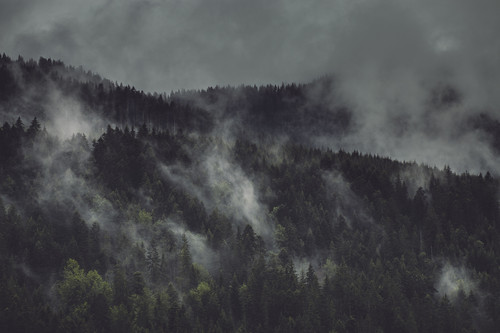 foggy forest with clouds in the sky.jpg