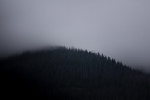 a foggy mountain with trees 02.jpg