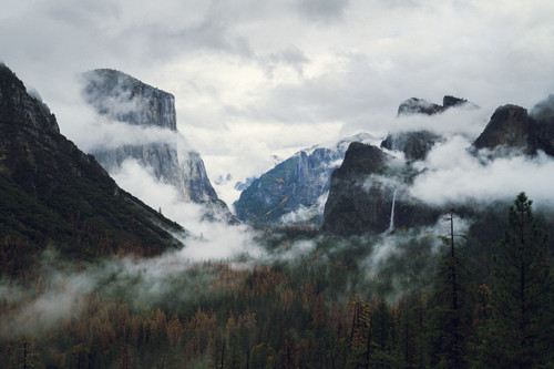 a valley with trees and mountains.jpg