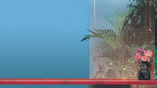 a plant in front of a window.png