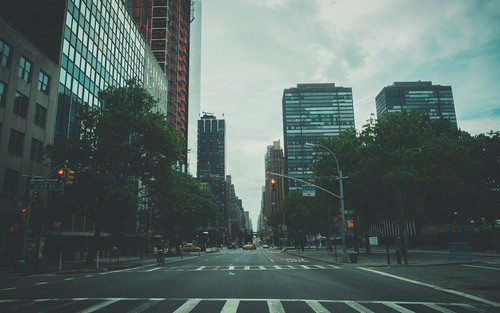 a street with trees and buildings in the background.jpg