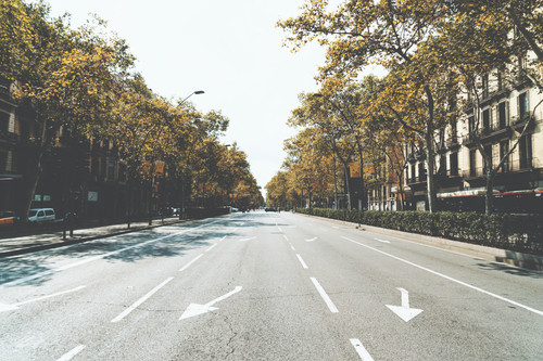 a road with trees on the side.jpg