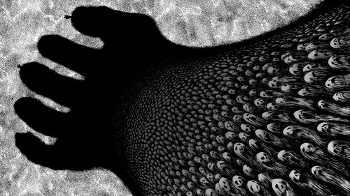 a close up of a bird's back.jpg
