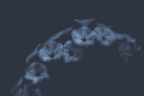 a blue and white dots.png