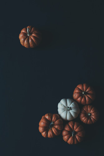 a group of pumpkins on a black surface.jpg