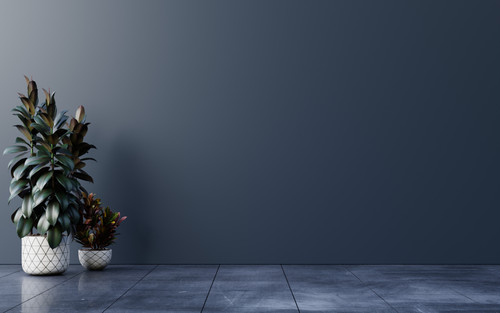 a plant in a pot.jpg