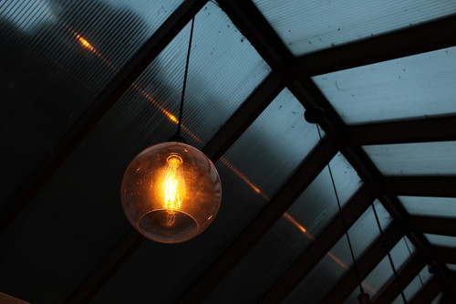 a light bulb from the ceiling.jpg