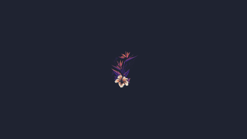 a flower on a dark background.png