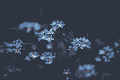 a group of small flowers.png