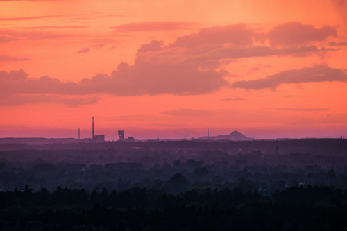 a landscape with trees and buildings in the distance.jpg