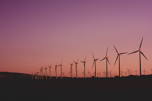 a group of windmills in a field.jpg