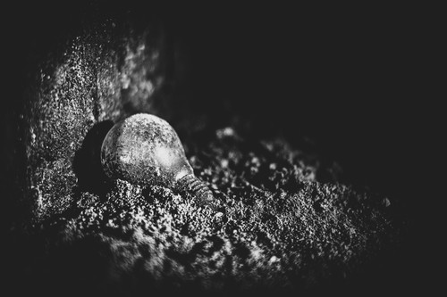a light bulb in the dirt.jpg