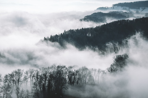 a foggy landscape with trees and hills.jpg