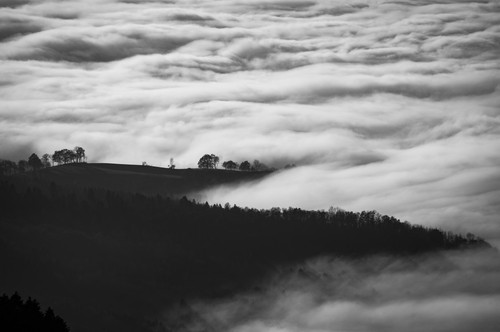 a foggy landscape with trees and clouds.jpg