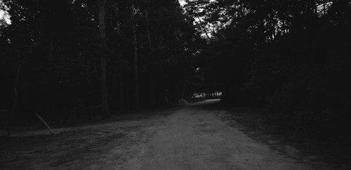 a dirt road with trees in the background.jpg