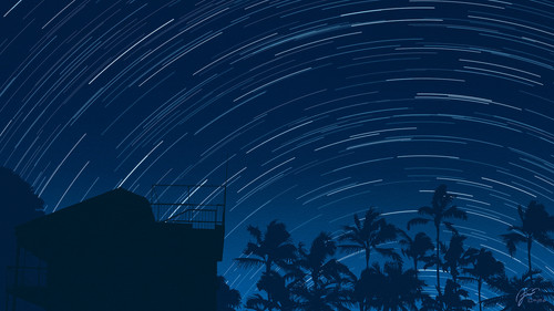 a building with trees and stars in the sky.jpg