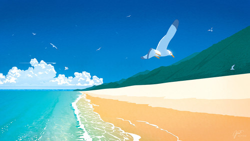 a bird flying over a beach.jpg