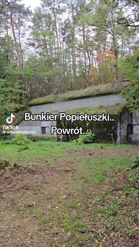 rf7tKN7Hr687tIOy.jpg