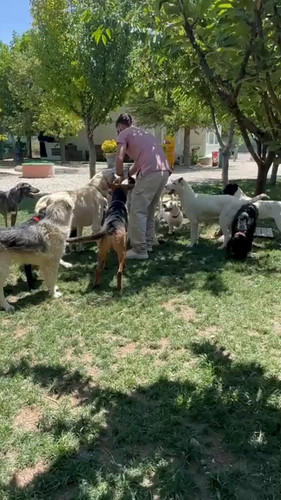 9M5xiZ1m GXp2Jb5.jpg