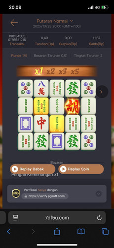 WhatsApp Image 2025 10 23 at 20.13.42.jpg