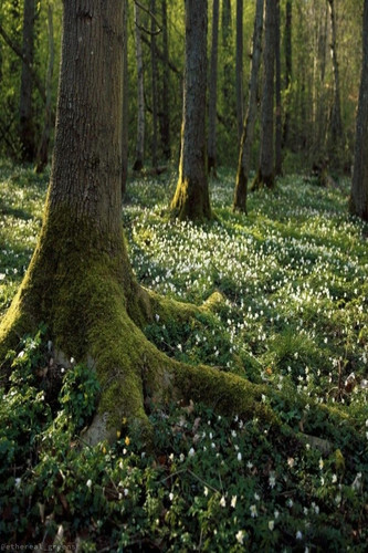 out.jpg